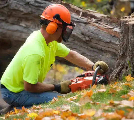 tree services Plainsboro Center